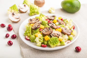 Vegetarian salad from romanesco cabbage, champignons, cranberry, avocado and pumpkin on a white wooden background. side view, selective focus