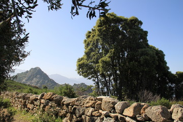 Sentier de Lumio
