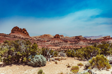 Along the Burr trail road in Grand Staircase Escalante National Park 