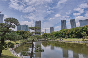  park in the city