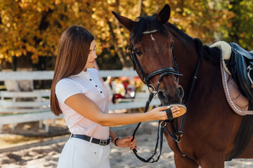 Obraz premium Young farmer woman combing her horse, concept about love between people and animals.
