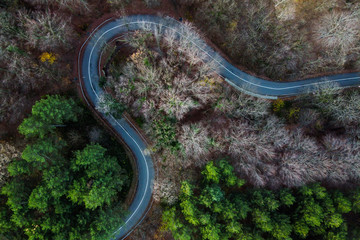 aerial view of road in forest