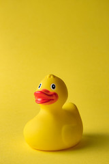 Rubber duck toy for swimming on yellow background.