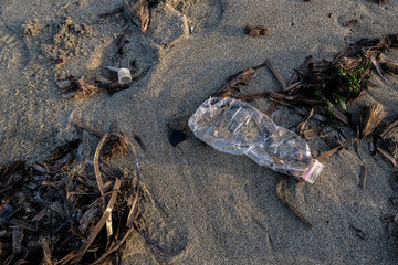 Plastic bottle on wild sea coast over blurred waves background,planet save