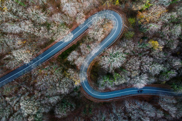 aerial view of the road in forest