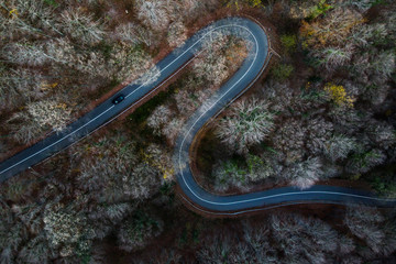 aerial view of the road in forest