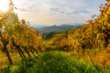 Landscape view over rusty vineyards and hills in Styria, Austria.