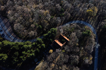aerial view of road in forest