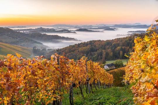 Superb misty autumn morning in Styria region, Austria.