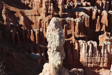 Nature in all it's glory