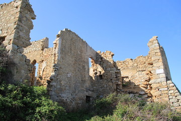 Occi