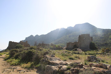 Occi