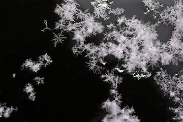 雪の結晶