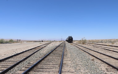 Obraz premium Nature in all it's glory