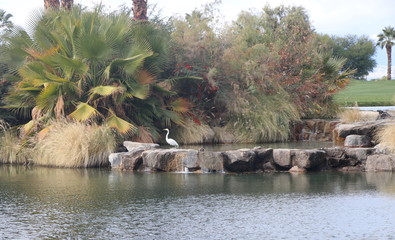 Nature in all it's glory