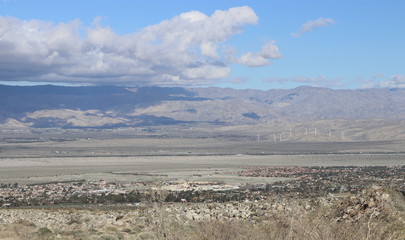 Nature in all it's glory