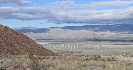 Nature in all it's glory