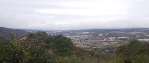 Nature in all it's glory