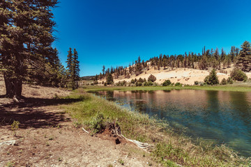 Along Tropic reservoir near Bryce Canyon Utah