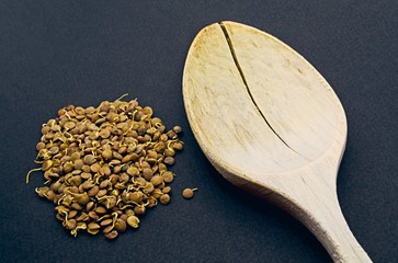grooming lentils with a wooden spoon on black background