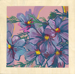 Purple Cosmos