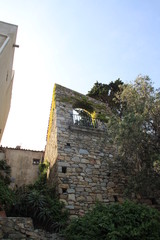 Calvi