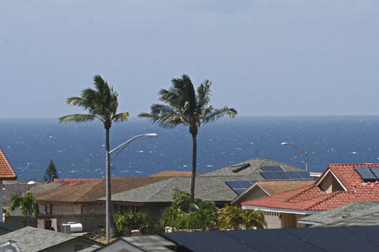 Rooftops in Wailea on Maui. 