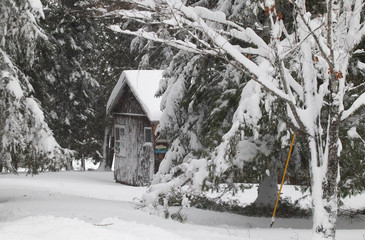 Up North in the winter snow