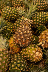 Fresh pineapples in the grocery store