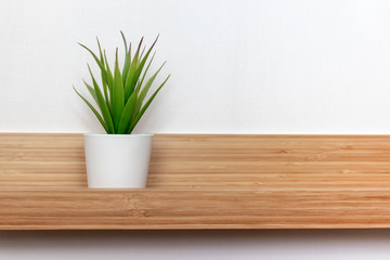 Potted green plant in white flowerpot on wooden shelf in front of white wall with copy space, minimalistic scandinavian interior