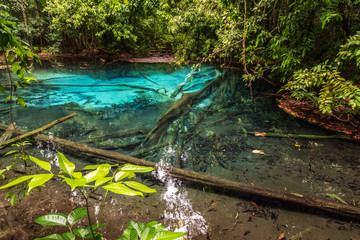 Emerald blue pool (Sra Morakot) Krabi Thailand.