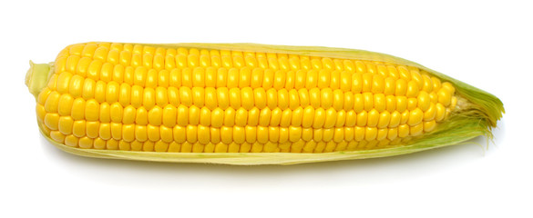 One corn isolated on white background. Top view, flat lay