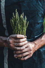 Green asparagus kept in men's hands