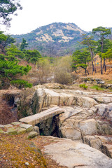 View of Inwangsan Mountain, a rocky stream with a bridge, pine grove.