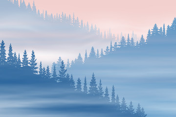 Coniferous forest in the fog, natural background, vector illustration, EPS10 