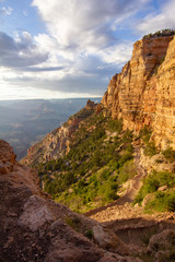 Yellow Canyon Walls and Green Plants Overlooking Grand Canyon