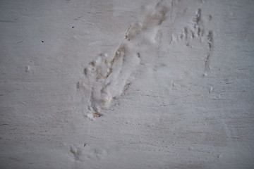 painted wood texture white color