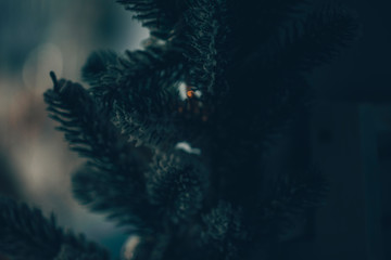 Christmas background. Decor. Happy day. Christmas time. 