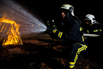 Fototapeta premium Fire service team