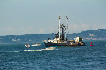 Ships in the Atlantic Outside Long Island