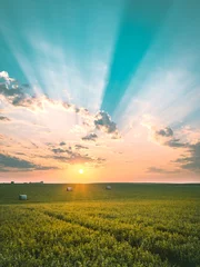 Fotobehang Turquoise Zonsondergang in Minnesota over het veld met zonnestralen