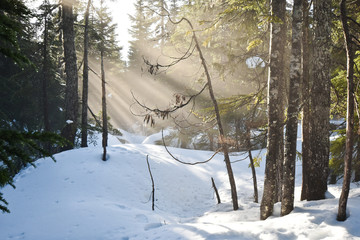 Snowshoeing at eagle bluff in west Vancouver, BC