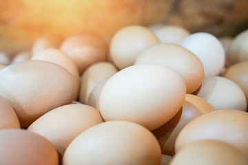 heap of egg food in the farm chicken / close up  eggs in basket , selective focus