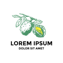 Durian fruit icon logo design template