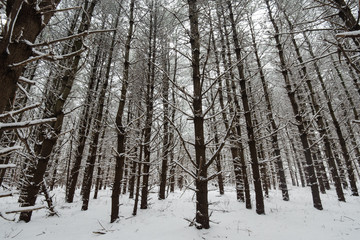 Winter Hike