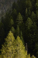The Maratime Alps in fall near Cuneo, Piedmont, Italy