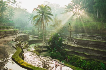 Crédence de cuisine en verre imprimé Bali Beau lever de soleil sur les rizières en terrasses de Tegalalang, célèbre monument balinais. Rayons de soleil magiques, lumière incroyable. Bienvenue au concept de voyage de Bali.
