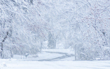 Snow covered forests and lakes in winter