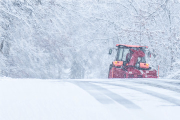 Snow covered forests in winter