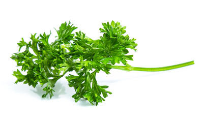 Parsley isolated on white background